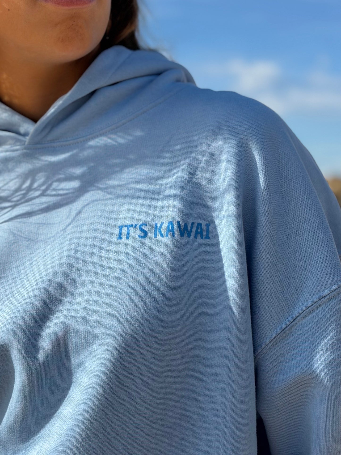 Sudadera Whale Shark - Blue soul